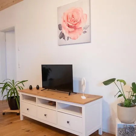 Ferienwohnung-im Alpenblick-wangen Appartamento Wangen im Allgäu
